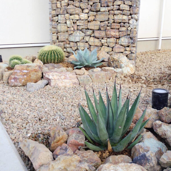 2025年8月  千葉県勝浦市 個人邸 植栽 外構設計+施工